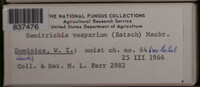 Image Associated With the Occurence